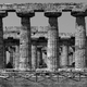 Paestum kolumnada