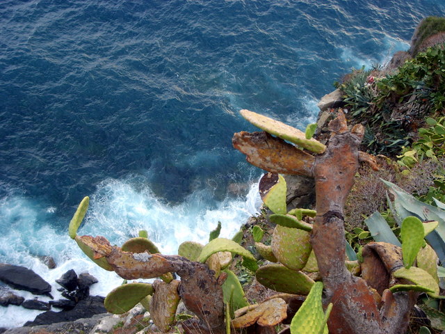 Cinque Terre