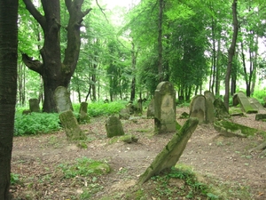 Kirkut w Lesku (Bieszczady)