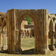 San Juan de Duero,Soria 