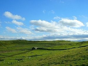 Łąki obok Wału Hadriana, widok z Housesteads