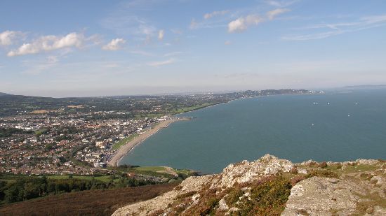 Bray