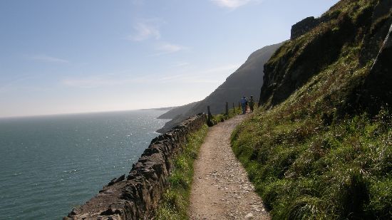 Bray