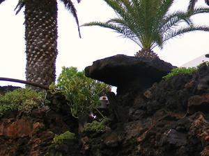 Jameos del Aqua