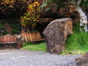 Jameos del Aqua