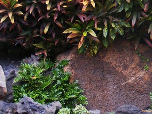 Jameos del Aqua