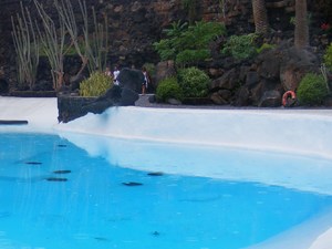 Jameos del Aqua