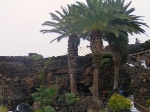 Jameos del Aqua