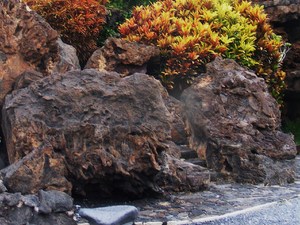 Jameos del Aqua