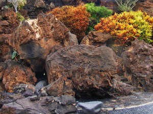 Jameos del Aqua