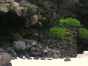 Jameos del Aqua