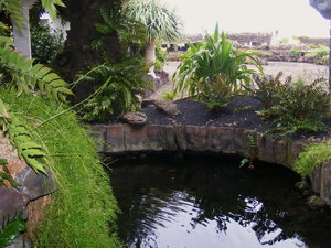 Jameos del Aqua