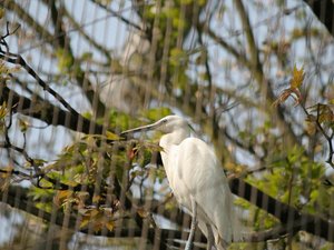 59413 - Londyn Niedzielna wyprawa wzdluz kanalu Regents