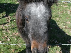 59491 - Londyn Osterley Park i okolice