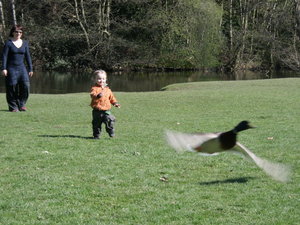 59518 - Londyn Osterley Park i okolice