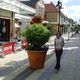 Spalding, Springfield