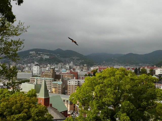 P1030639