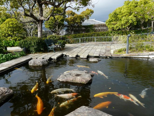P1030649