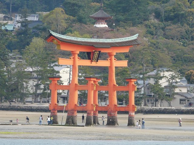 P1030509
