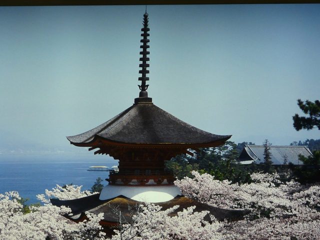 P1030549