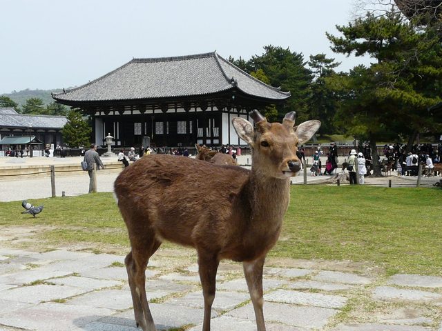 P1030851