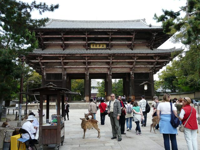 P1030880