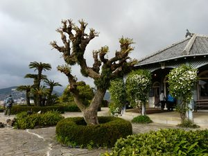 Park Glovera - Nagasaki