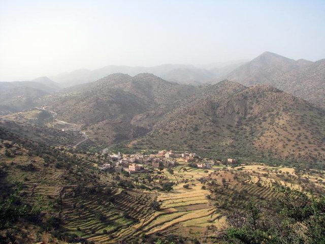 Img 05