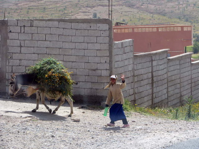 Img 07