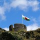 Zamek Caerphilly flaga walijska na wieży