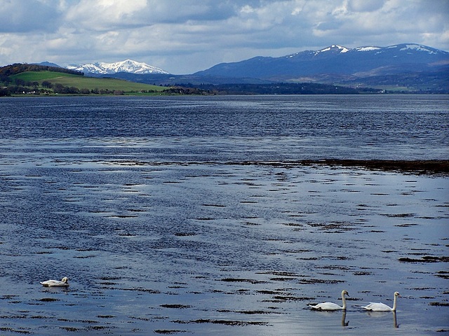 Beauly Firth