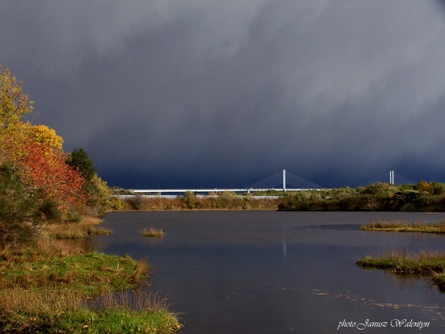widok jesienny na North Kessock Bridge 