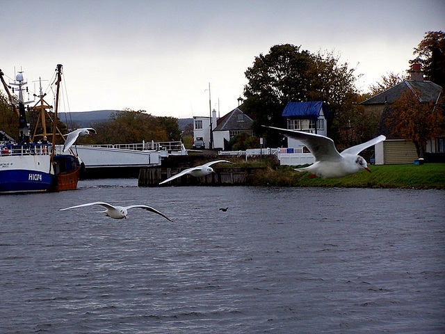 Caledonial Canal