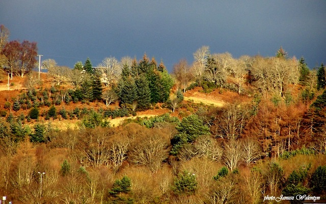 jesień - North Kessock
