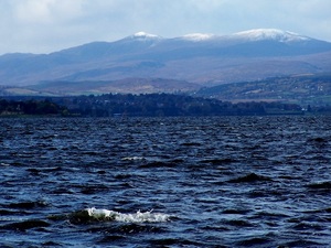 Beauly Firth - okolice Inverness
