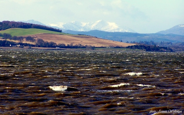 Beauly Firth - okolice Inverness