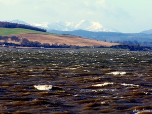 Beauly Firth - okolice Inverness