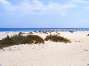 Fuertaventura - plaza