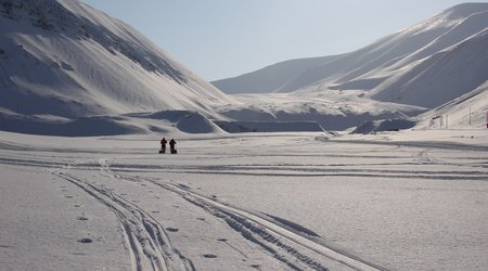 Spitsbergen 10