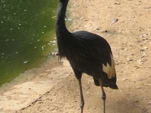 Agadir