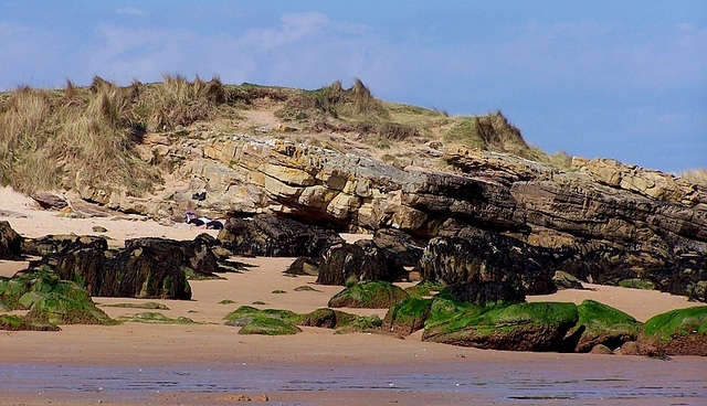 plaża w Dornoch