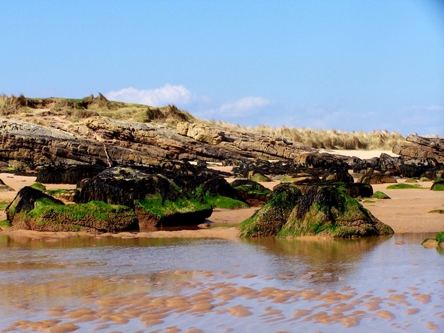 plaża w Dornoch