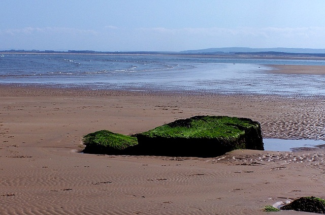 plaża w Dornoch