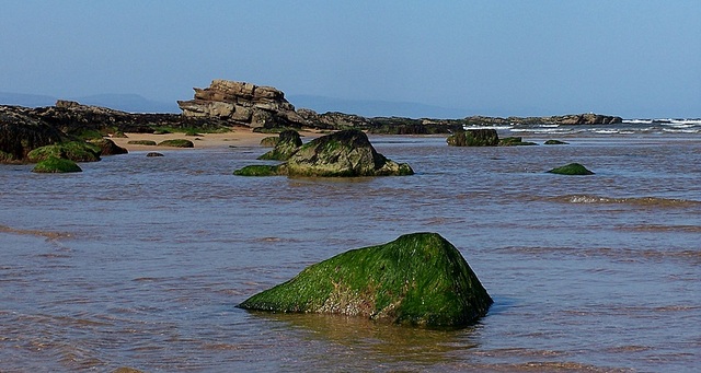 skały na plaży w Dornoch