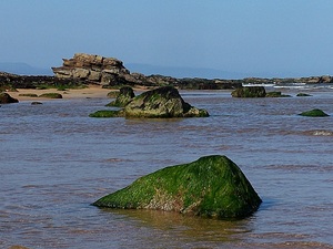 skały na plaży w Dornoch