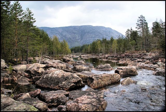 Norwegia