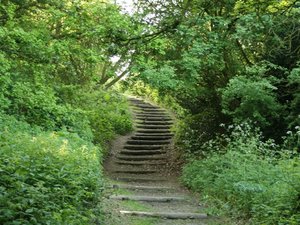66253 - Londyn Hampstead Heath