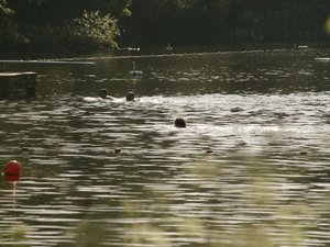 66268 - Londyn Hampstead Heath