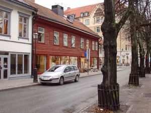 Skansen w orebro 2008 01