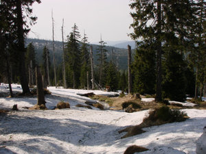 Karkonoski Park Narodowy